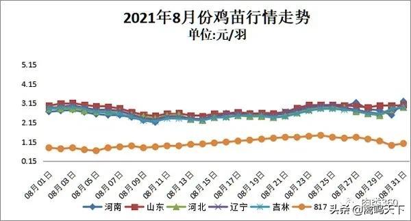 肉雞最新價格動態(tài)解析報告